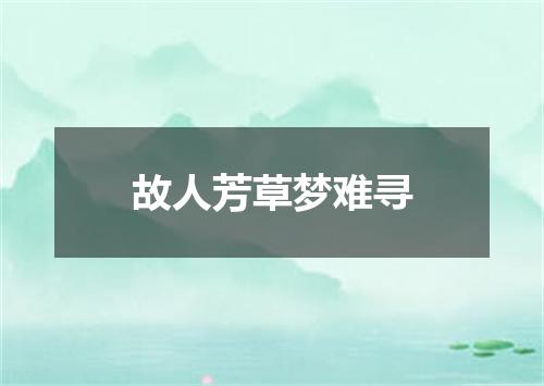 故人芳草梦难寻