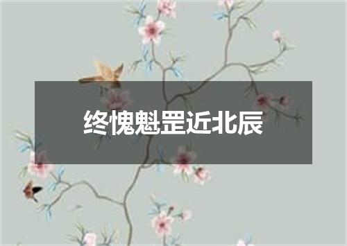 终愧魁罡近北辰