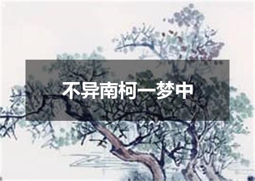 不异南柯一梦中
