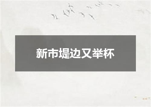 新市堤边又举杯