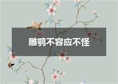 雕鹗不容应不怪