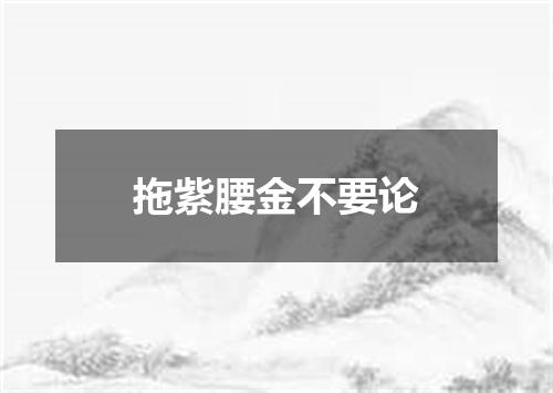 拖紫腰金不要论