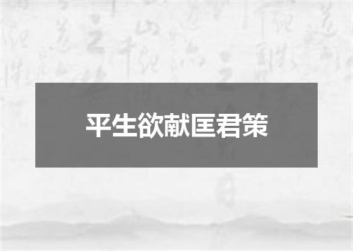 平生欲献匡君策