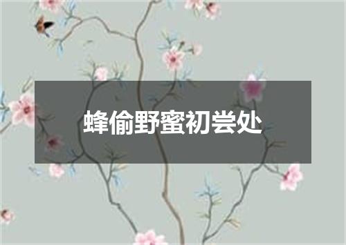 蜂偷野蜜初尝处