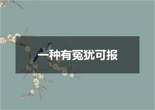 一种有冤犹可报