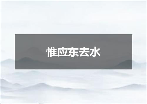 惟应东去水