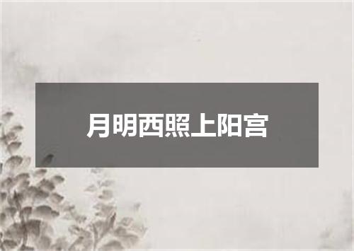 月明西照上阳宫