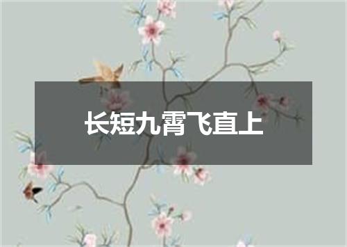 长短九霄飞直上