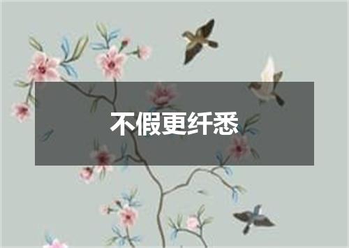 不假更纤悉
