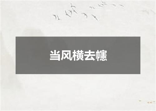 当风横去幰