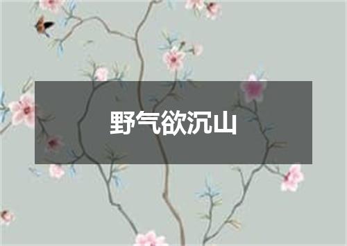 野气欲沉山