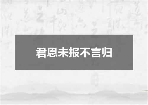 君恩未报不言归