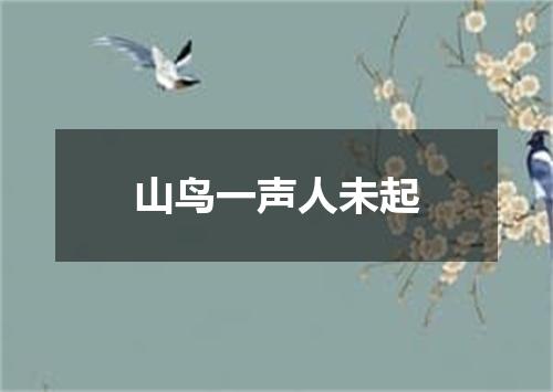 山鸟一声人未起