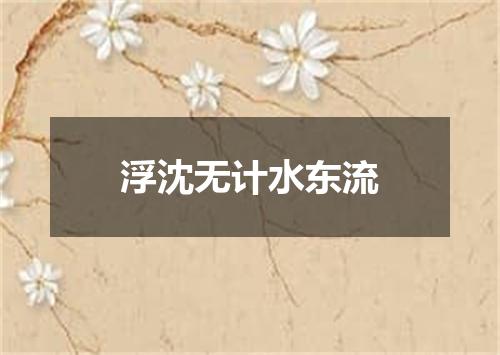 浮沈无计水东流