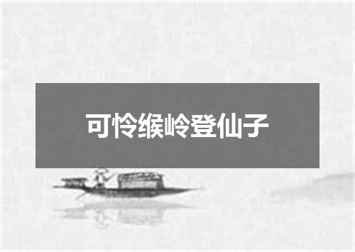 可怜缑岭登仙子