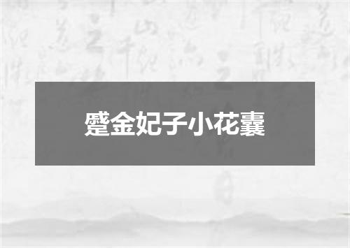 蹙金妃子小花囊