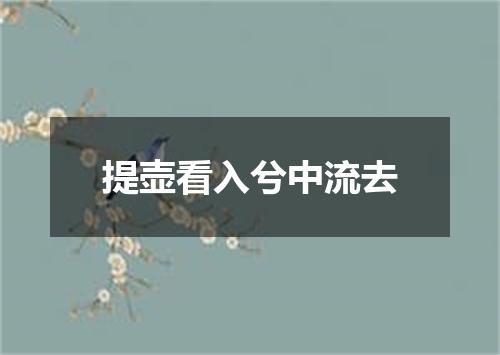 提壶看入兮中流去