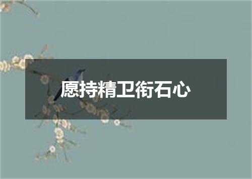 愿持精卫衔石心
