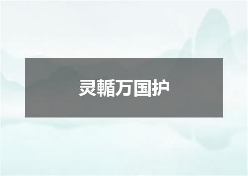 灵輴万国护