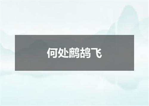 何处鹧鸪飞