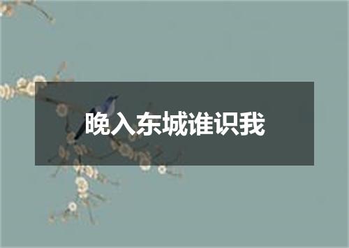 晚入东城谁识我