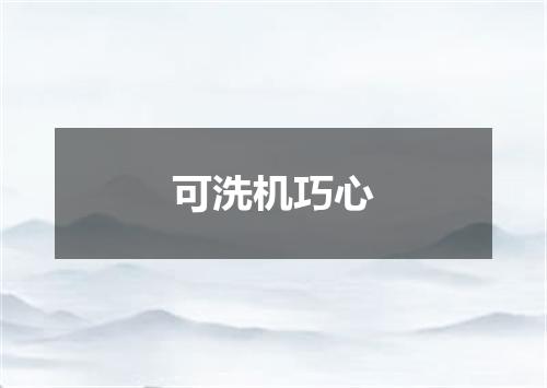 可洗机巧心