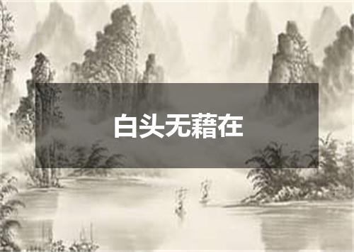 白头无藉在