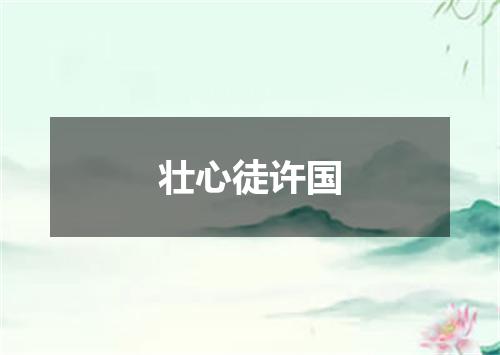 壮心徒许国