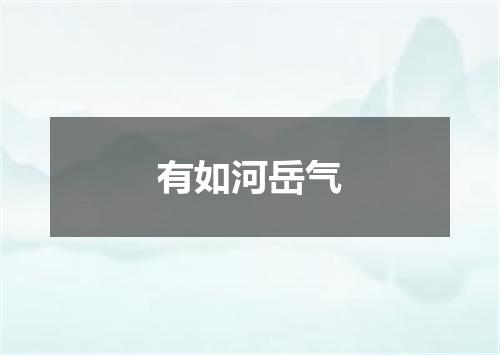 有如河岳气