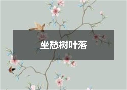 坐愁树叶落