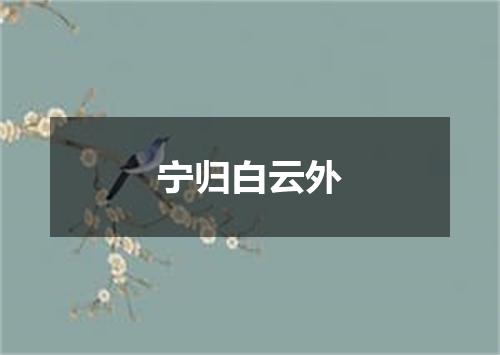 宁归白云外