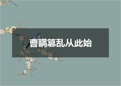 曹瞒篡乱从此始