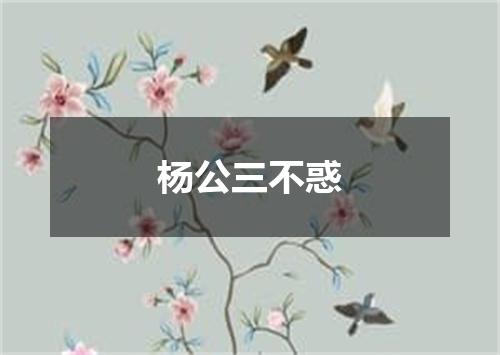 杨公三不惑