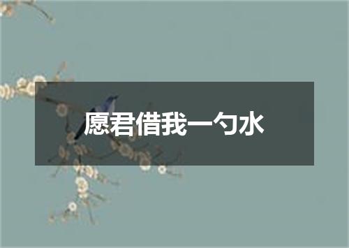 愿君借我一勺水