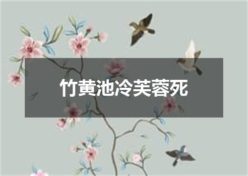 竹黄池冷芙蓉死