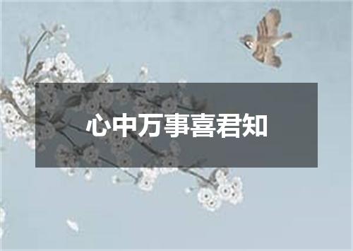 心中万事喜君知