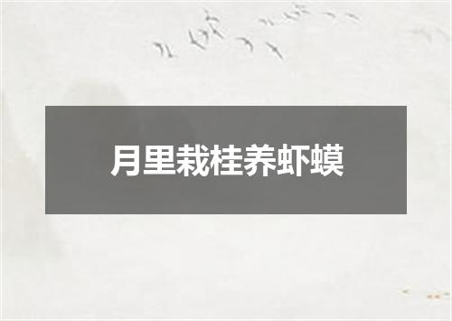 月里栽桂养虾蟆