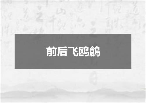 前后飞鸥鶬