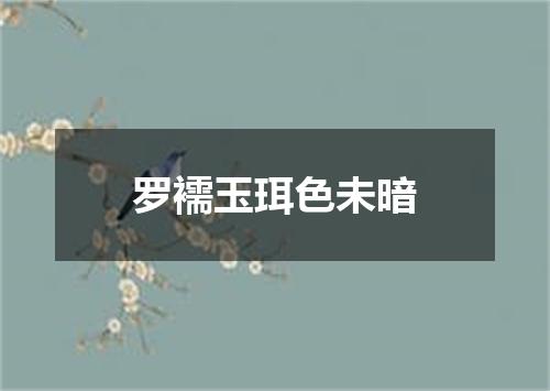 罗襦玉珥色未暗