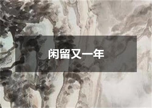 闲留又一年