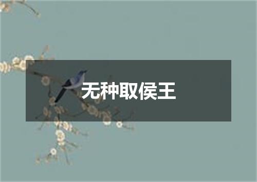 无种取侯王