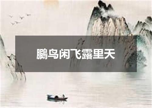 鵩鸟闲飞露里天