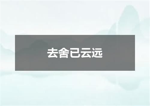 去舍已云远