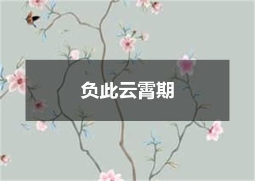 负此云霄期