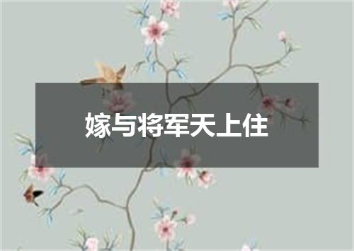 嫁与将军天上住