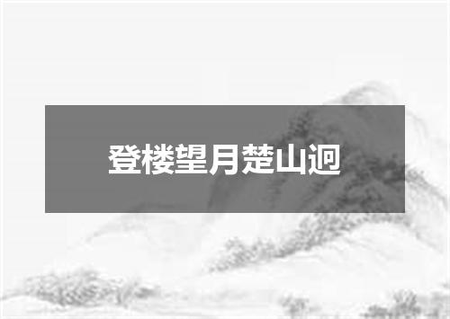 登楼望月楚山迥