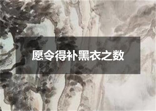 愿令得补黑衣之数
