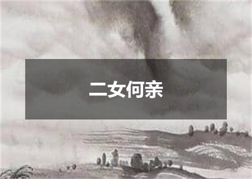 二女何亲