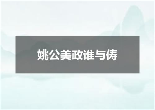 姚公美政谁与俦