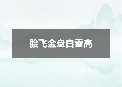 脍飞金盘白雪高